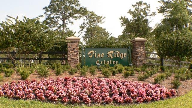 Pine Ridge photo